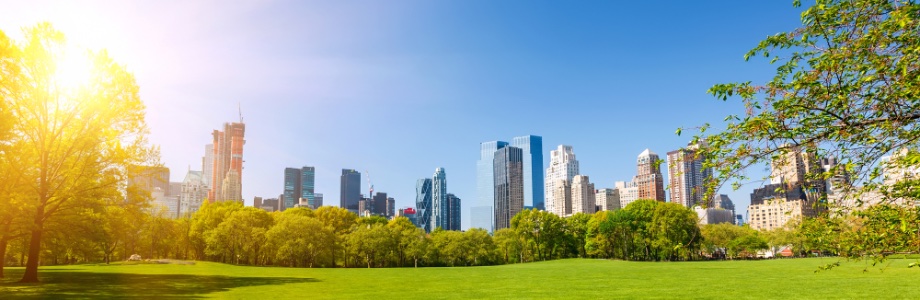 image of a city park