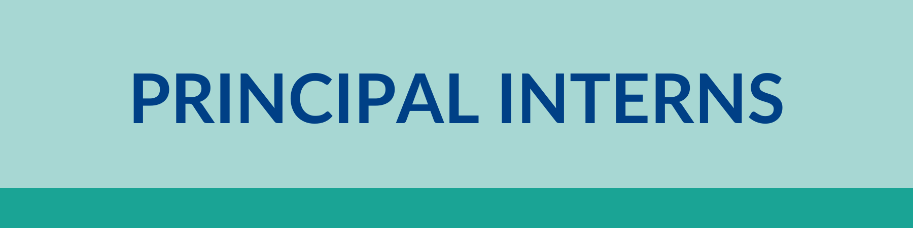 Principal Interns Header